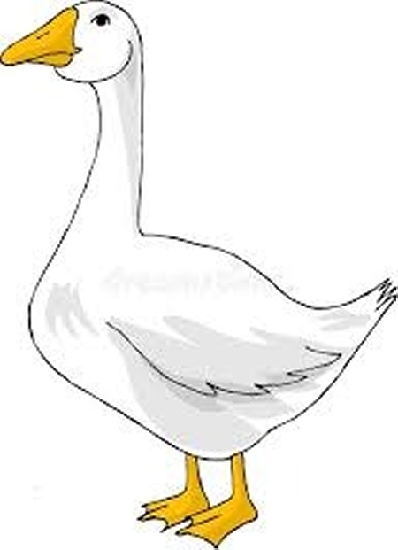 per San Martin e tutto il mese di Novembre 